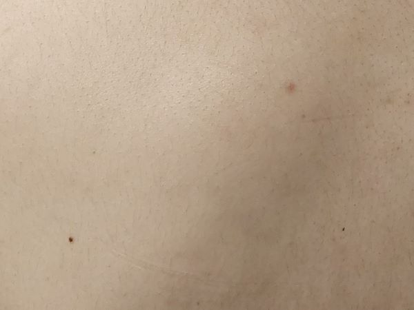 55626b4a48e64605d23c42737233f69e_1740190014_0463.jpg